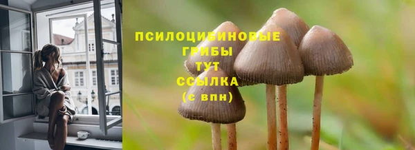 твердый Аркадак