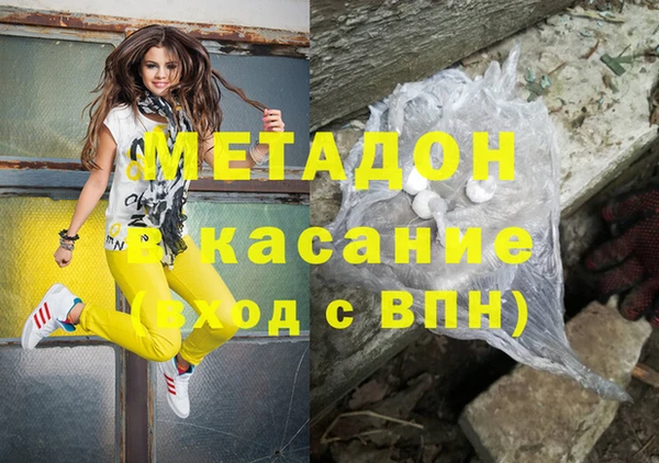 индика Арсеньев