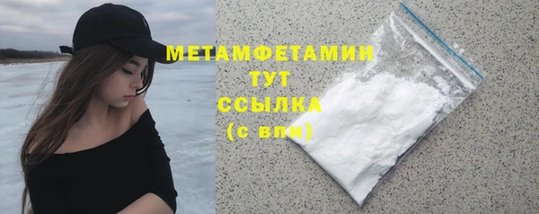 индика Арсеньев